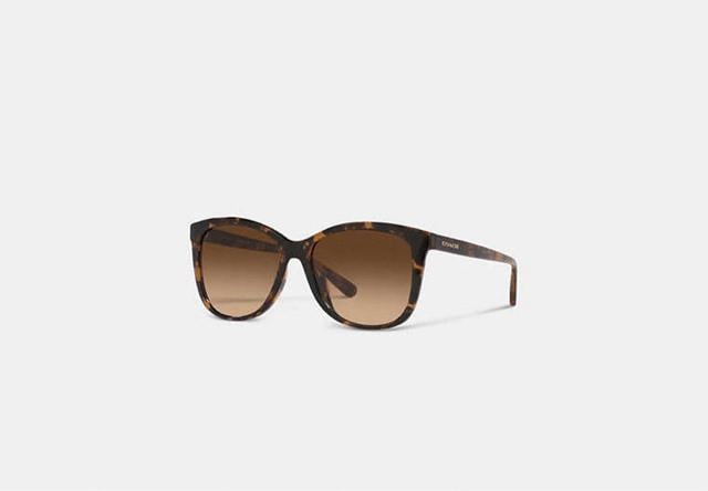 i Coach R[` WIgbN XNGATOX CH575  uh 