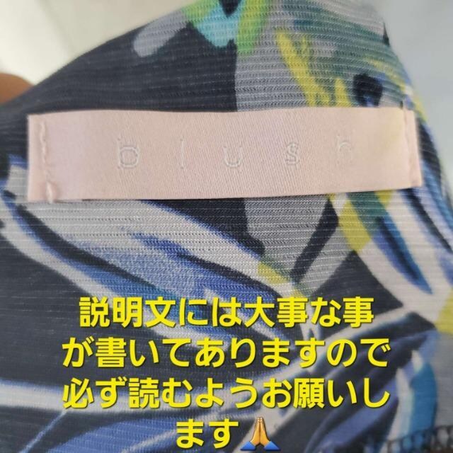 ݁684BLUSHm[XOtA[s[XF  t@bV 