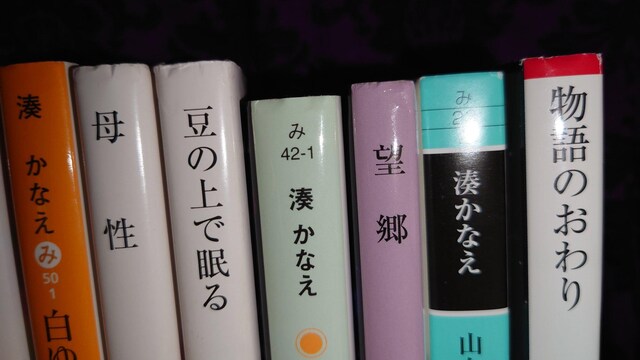 Ȃɖ{Zbg@8@ꐫ@]@Z@@RL@Tt@CA@̂@䂫PEl@h}@f扻@  {/G 