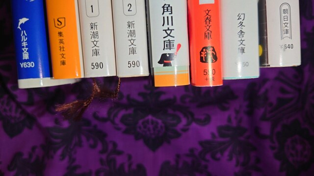 Ȃɖ{Zbg@8@ꐫ@]@Z@@RL@Tt@CA@̂@䂫PEl@h}@f扻@  {/G 