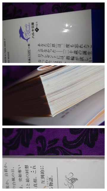 Ȃɖ{Zbg@8@ꐫ@]@Z@@RL@Tt@CA@̂@䂫PEl@h}@f扻@  {/G 