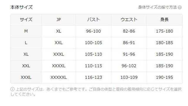 Xi1190~Yg[eLmJ[fBK - 2025NVX^C7 tr`TCYli{TCYwkj