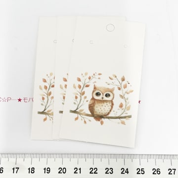 19*i̱ذ䎆@3@ނɂ8