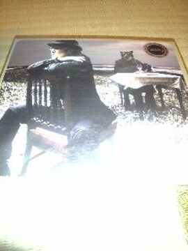 ٗCD(DVDt)쌳t/Coyote