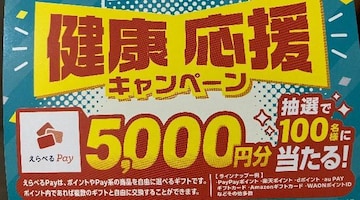 ^CAbvIׂpay5000~/100l1