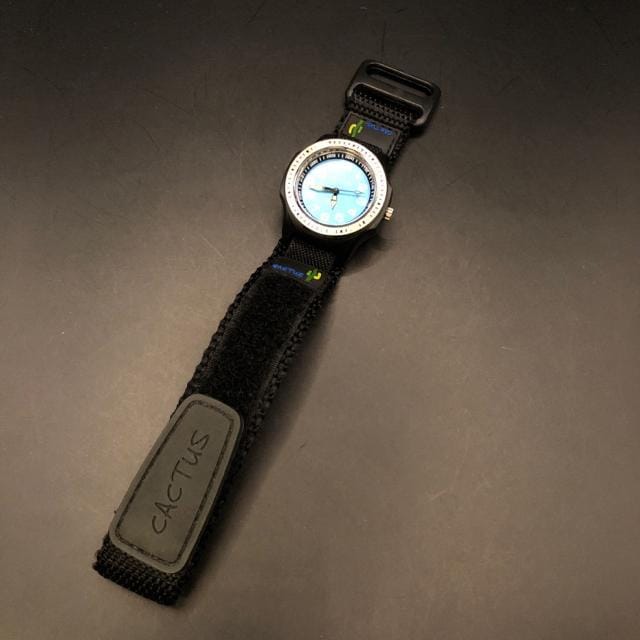  CACTUS LbY rv  jANZT[/v 