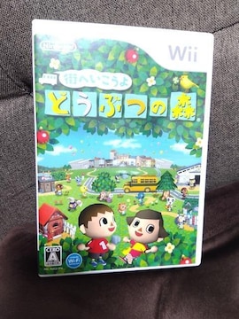 Wii\tg@XւǂԂ̐X