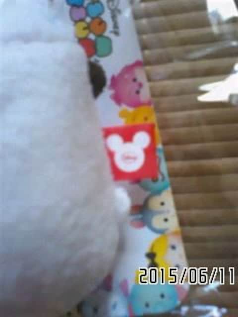 jN~DisneyE~jTCYccʂ݁BAiIt   