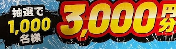 Iׂpay3000~/1000l1