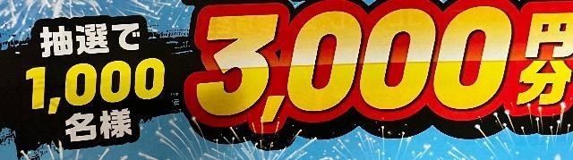 Iׂpay3000~/1000l1   `Pbg/ 