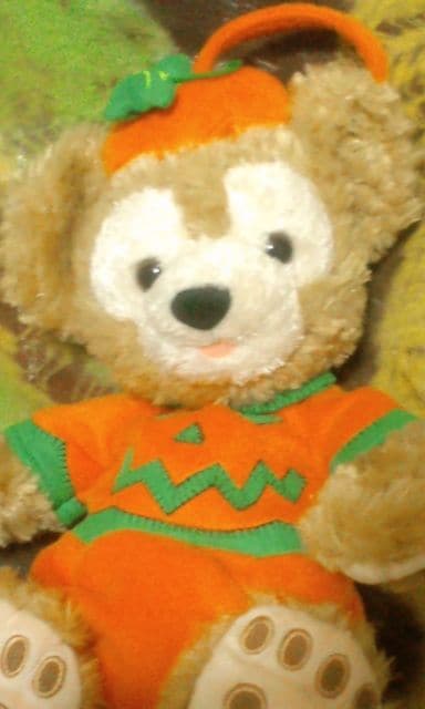 TDS2009w_btB[nEBpvLʂ݃|[`xAI[v}EX   