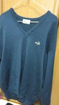 LACOSTEtAHZ[^[