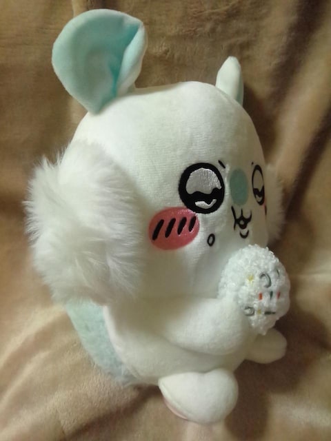 큡Kʂ݁  Aj/R~bN/LN^[ 