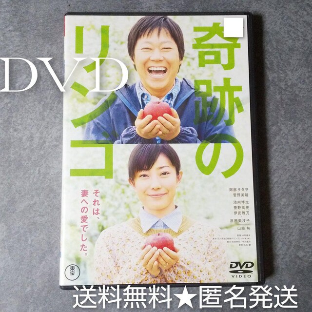 DVDwՂ̃Sx  b̕ T_    CD/DVD/rfI 