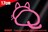 L@@XebJ[/CgsN(17~15cm)cat/˂