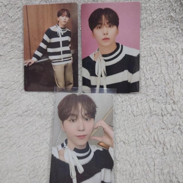 SEVENTEEN Zu` CARAT LAND gJ 3Zbg XO@ 