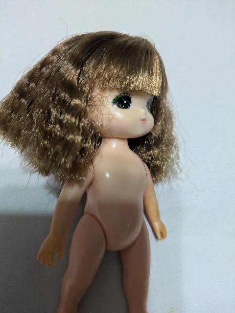 J̑oq̖@~L}L