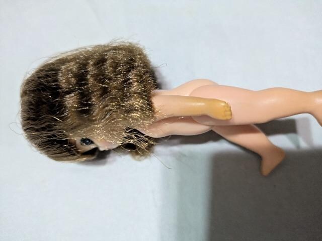 J̑oq̖@~L}L