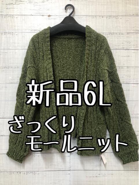 Vi6LJ[Ln胂[jbg̃J[fBKe527 