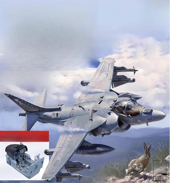 1/48 AV-8B nA[II vX vf [UMaf]  zr[ 