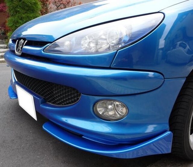 vW[206@tႠ@ėpbvX|C[ type1  /oCN
