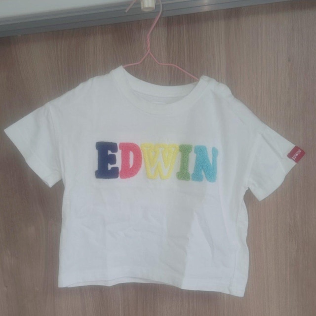EDWIN 킢JtTVc TCY80   LbY/xr[ 