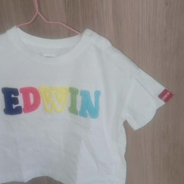 EDWIN 킢JtTVc TCY80   LbY/xr[ 