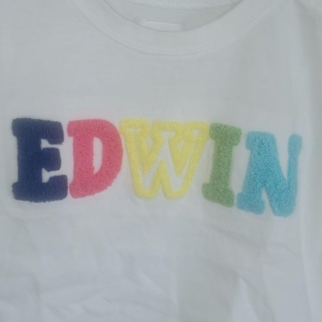 EDWIN 킢JtTVc TCY80   LbY/xr[ 