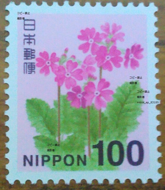 100~ʐ؎Vigp|Cg؎x 