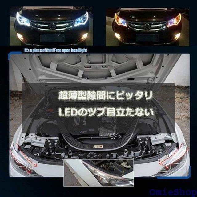 lifepower ECJ[e[v V[PVE g ԃhXAbv 60cm 2{Zbg 12VԔėp 176  /oCN
