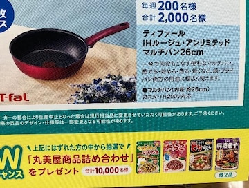 T-fal}`p/w۔ilߍ킹/12疼l3