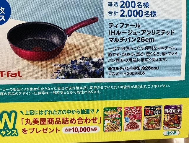 T-fal}`p/w۔ilߍ킹/12疼l3   `Pbg/ 