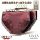 fB[XV[c 傫TCY 6Zbg 95% nCEGXg pc [  [ Rbg 3L 4L 5L 