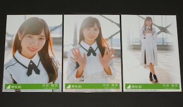 O46@Arog@ʐ^RZ~Rv@͓cz