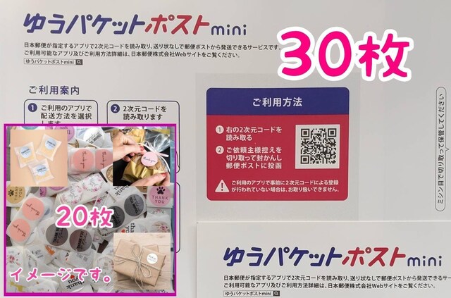 yzz䂤pPbg|Xgmini 30+TL[V[ 20 