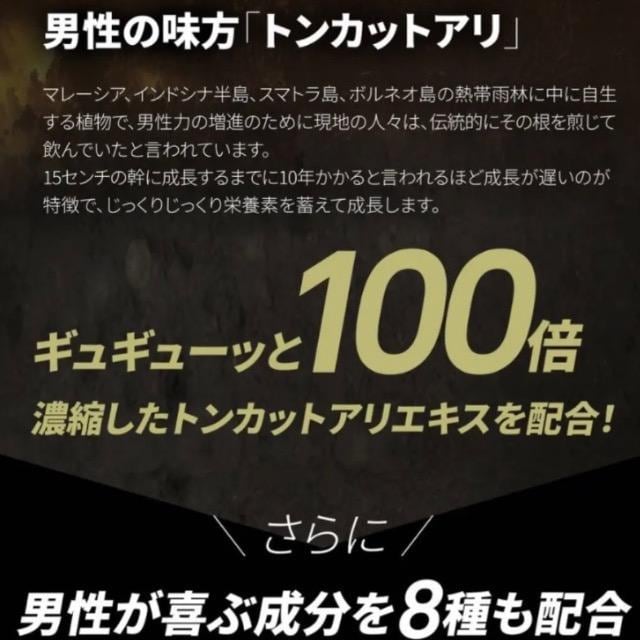 LOp[ Tvg 20{Zk}J+100{ZkgJbgAz  ۂ AMj  wX/r[eB[ 