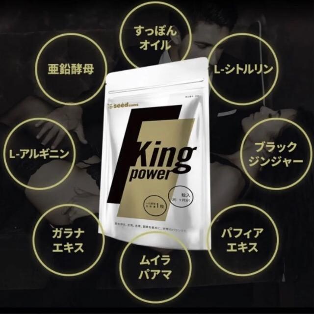 LOp[ Tvg 20{Zk}J+100{ZkgJbgAz  ۂ AMj  wX/r[eB[ 