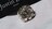 K p WXeBfCrX ~bNXACR|bgO 9 NX  bNX^[ }`fUCw ۏ؏L