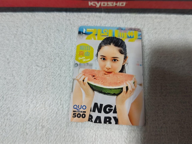 NIJ500 xc^R '20/9 BCXsbc #39 gp   `Pbg/ 