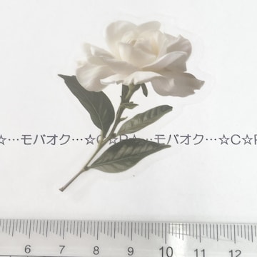 15*YȂԁ@װޭف@28
