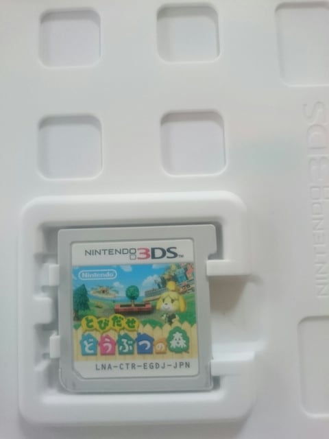 jeh[3DSQ[\tg/ƂтǂԂ̐X/BƑ萶
