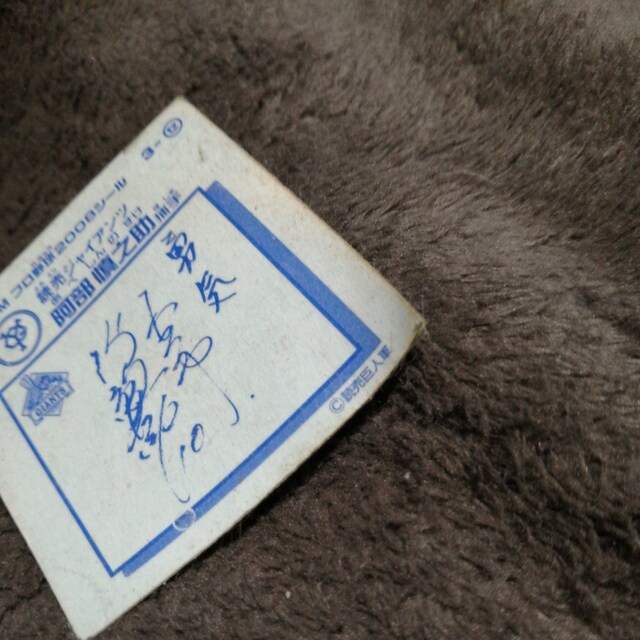 be@BM v싅2008V[  zr[ 