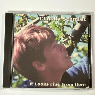 Claudia Schmidt / It Looks Fine from Here