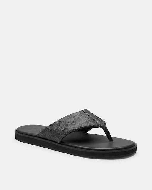 ViKiۏ؁R[`COACHVOl`[T_25cm   uh 