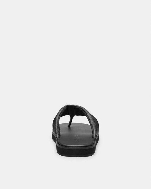 ViKiۏ؁R[`COACHVOl`[T_25cm  uh 