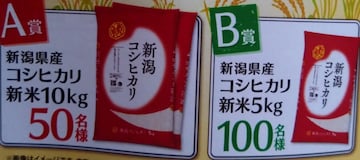 ^CAbv/VRVqJ10L/TL/1