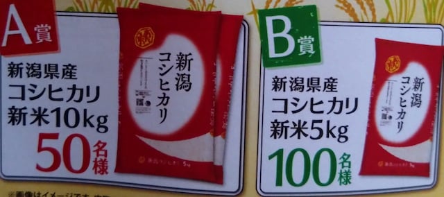 ^CAbv/VRVqJ10L/TL/1   `Pbg/ 