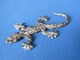 Gecko QbR[/{/IAؕdl ABS GuD ViJiI