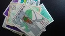 50~؎1Vigpi  |Cg  G_