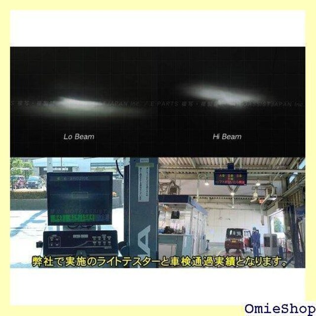 VALUE PRO FIGHTER LED ou H DC24VԑΉ l֎ I[goC gbN EV 128  /oCN